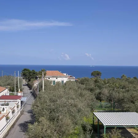 Vanedda Di Mari *
